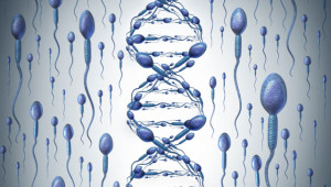 This photo was taken from: https://www.scsadiagnostics.com