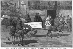 How_Cholera_is_Spread_in_Egypt_